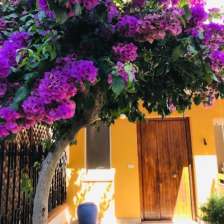テルモリ Le Stanze Di Botticelli Bed & Breakfast エクステリア 写真