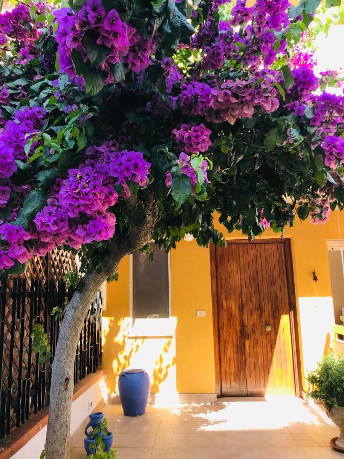 テルモリ Le Stanze Di Botticelli Bed & Breakfast エクステリア 写真